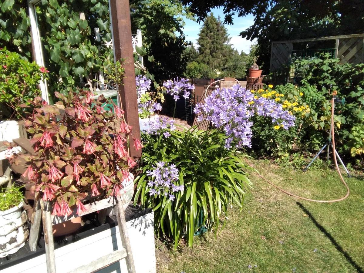 Gartenhaus Berlin Kültér fotó