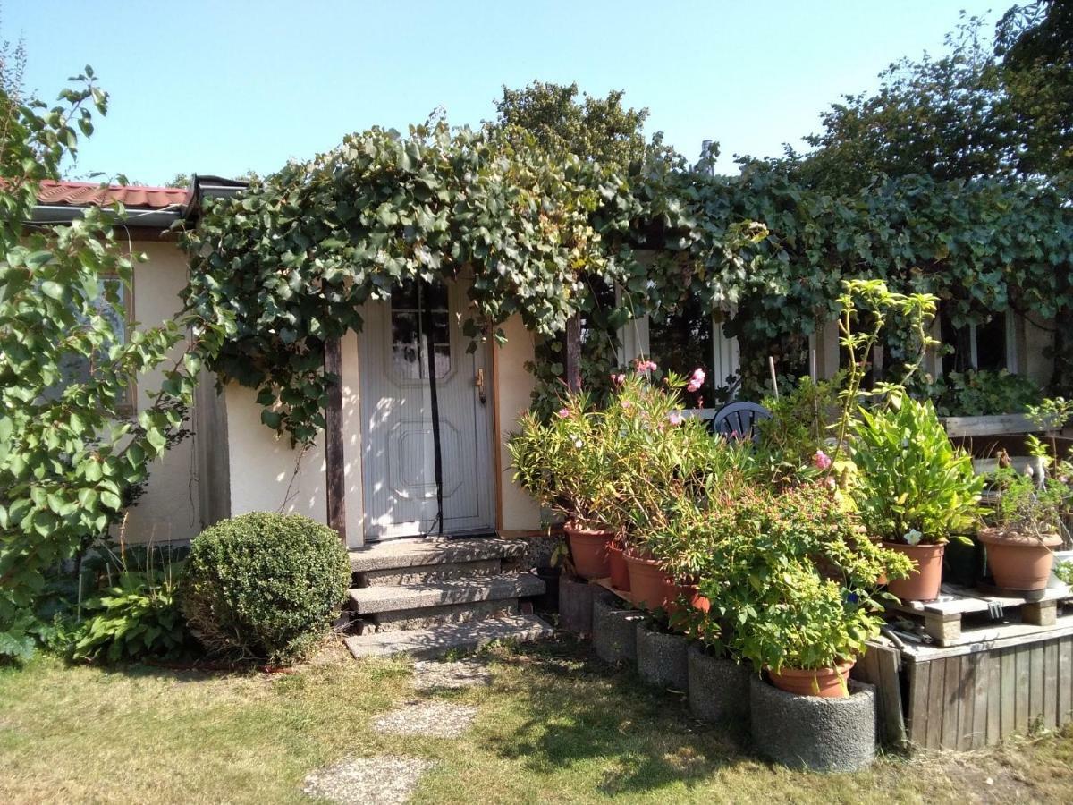 Gartenhaus Berlin Kültér fotó